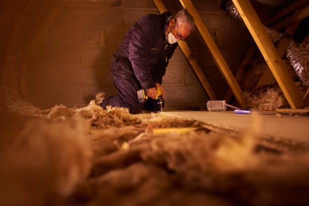 Best Eco-Friendly Insulation in Milroy, PA